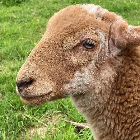 Chaumiere Chateau De La Bouchatte