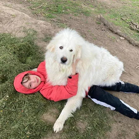 Chaumiere Chateau De La Bouchatte בית נופש