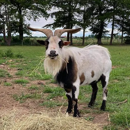 Chaumiere Chateau De La Bouchatte * Chazemais