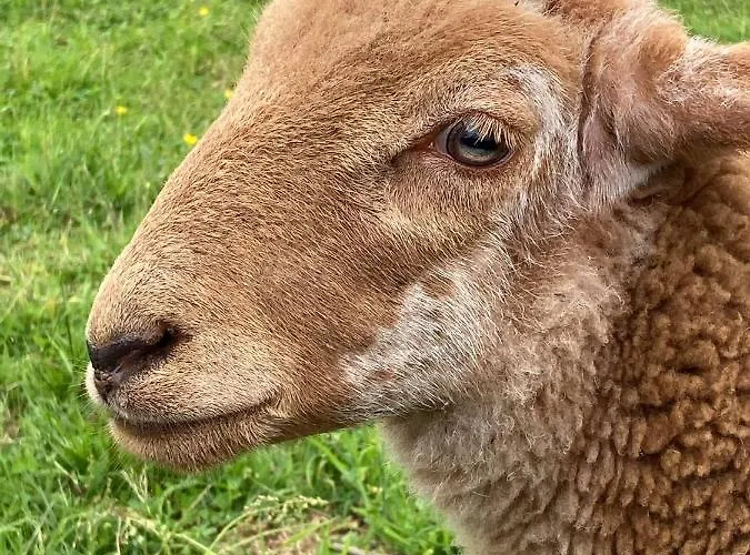 Chaumiere Chateau De La Bouchatte